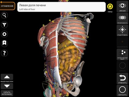Анатомия - 3D Атлас 6.5.0. Скриншот 17